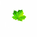 Design ohne Titel (10)